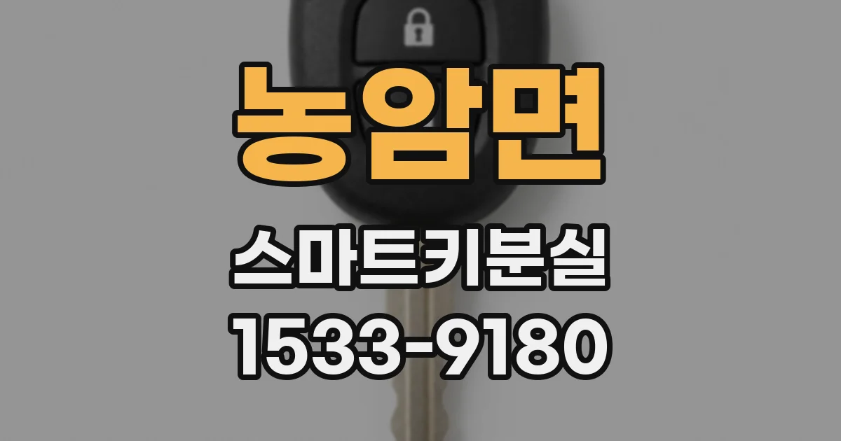 농암면 스마트키분실