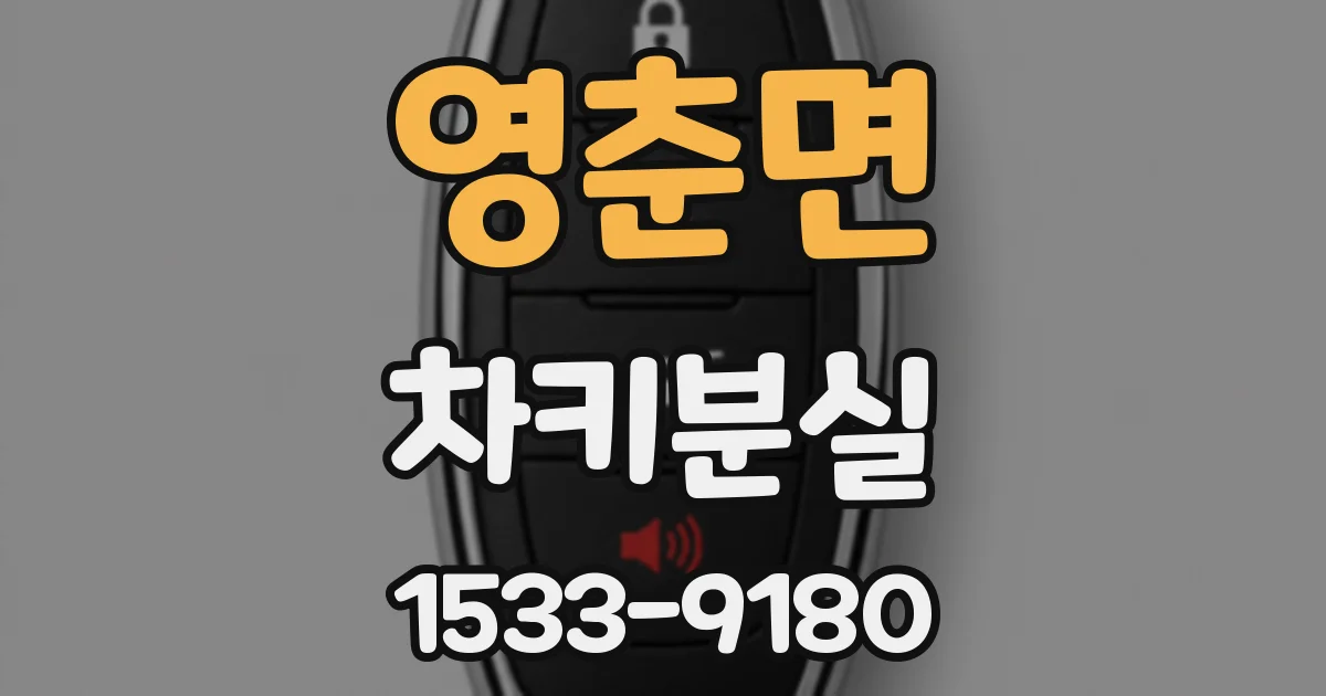 영춘면 차키분실