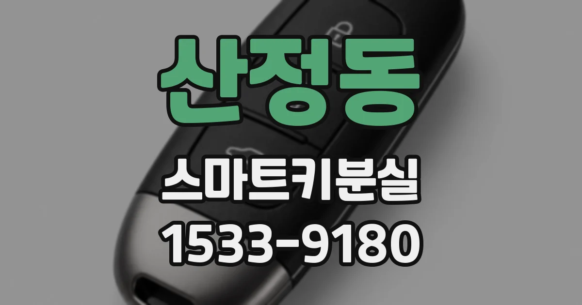 산정동 스마트키분실