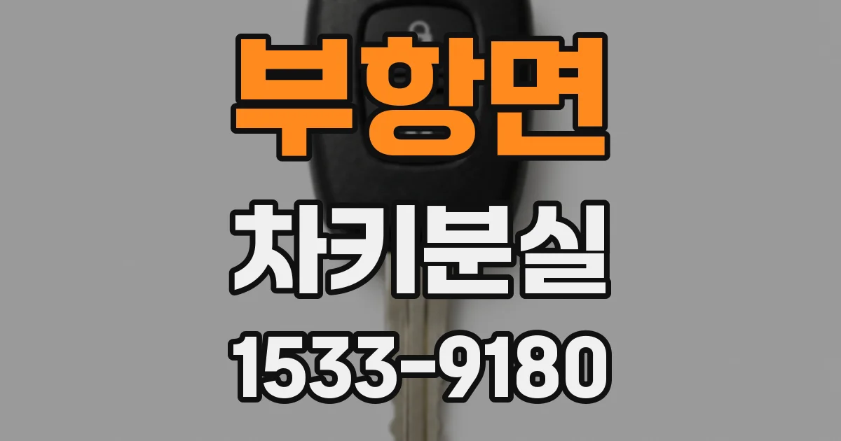 부항면 차키분실