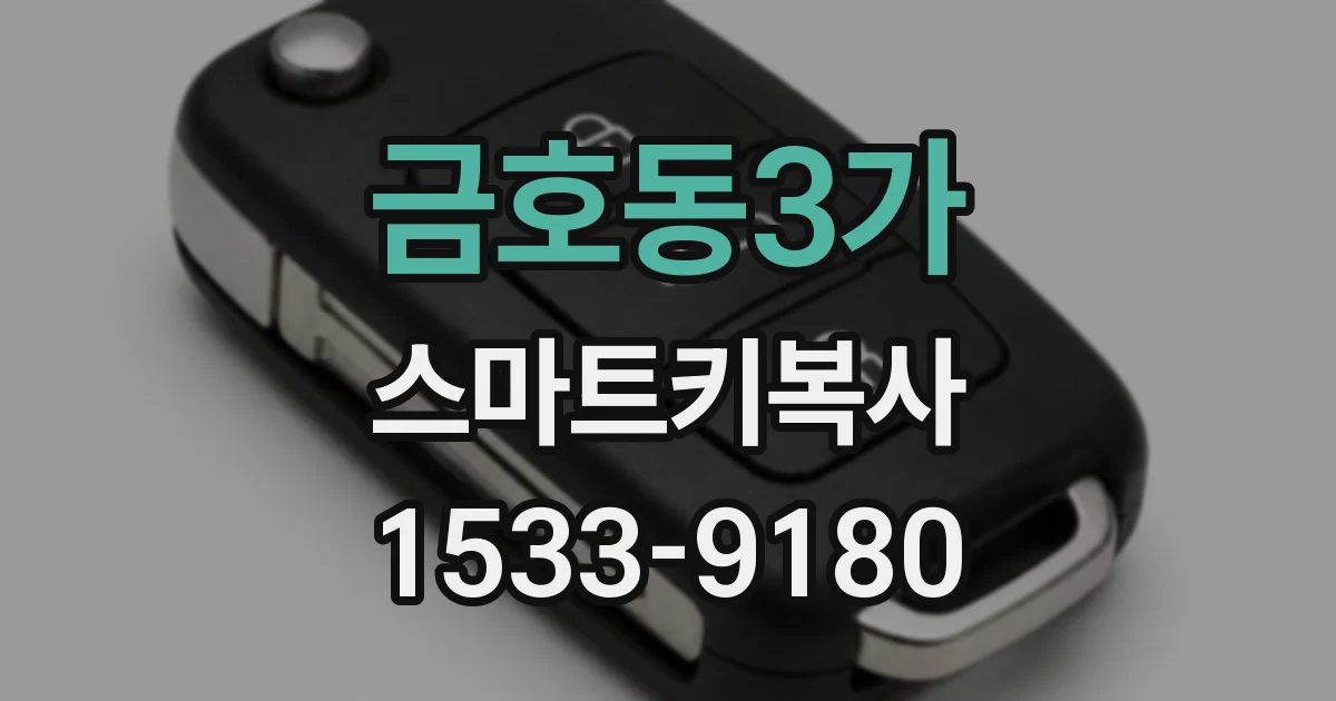 금호동3가 스마트키복사