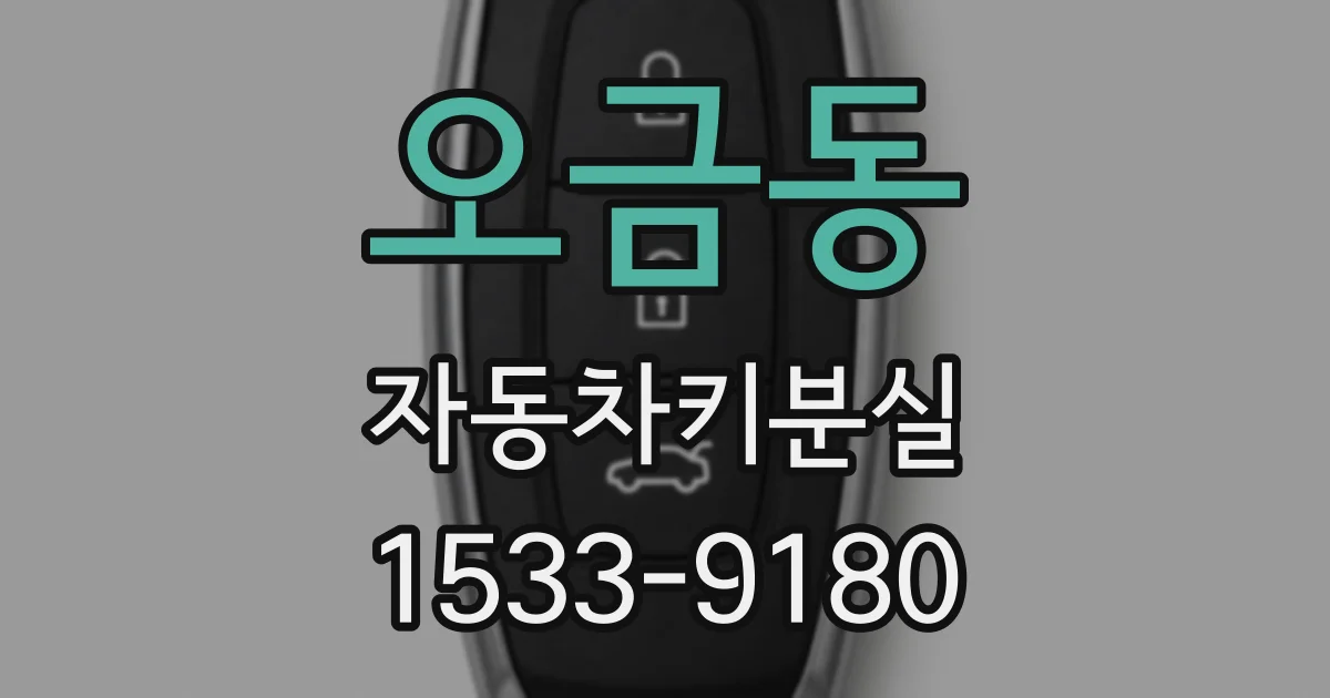 오금동 자동차키분실