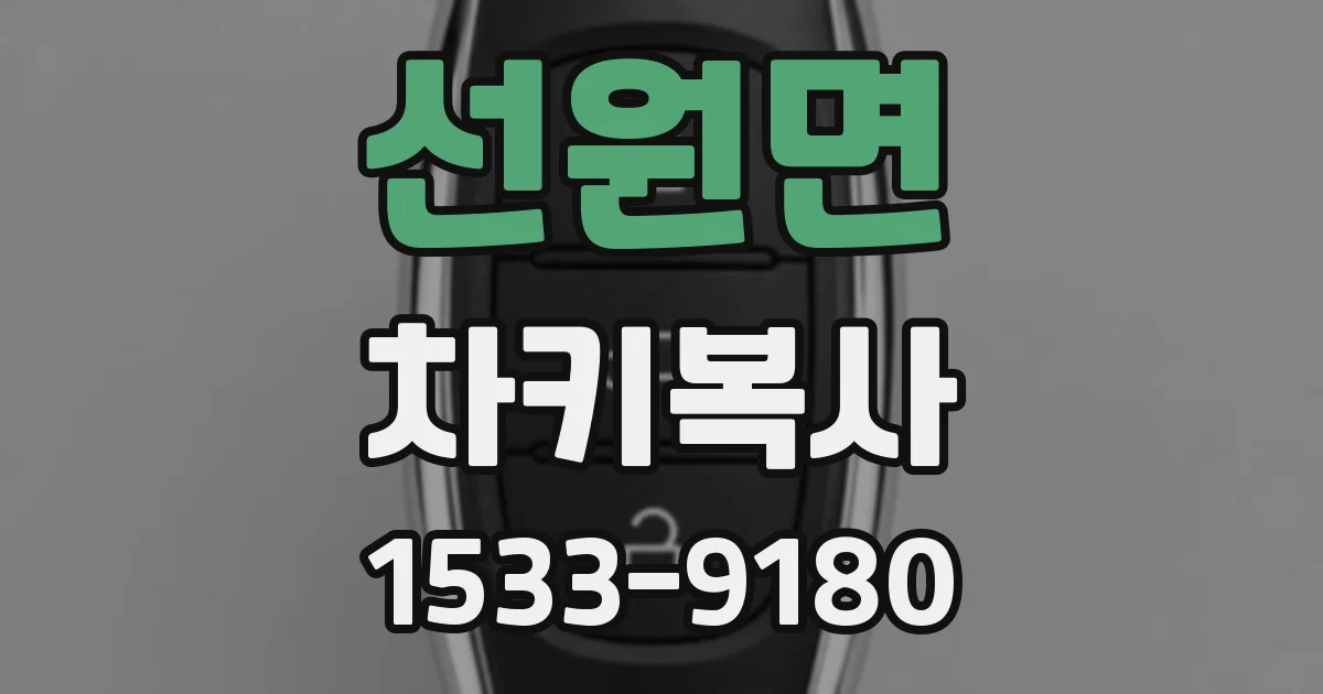 선원면 차키복사