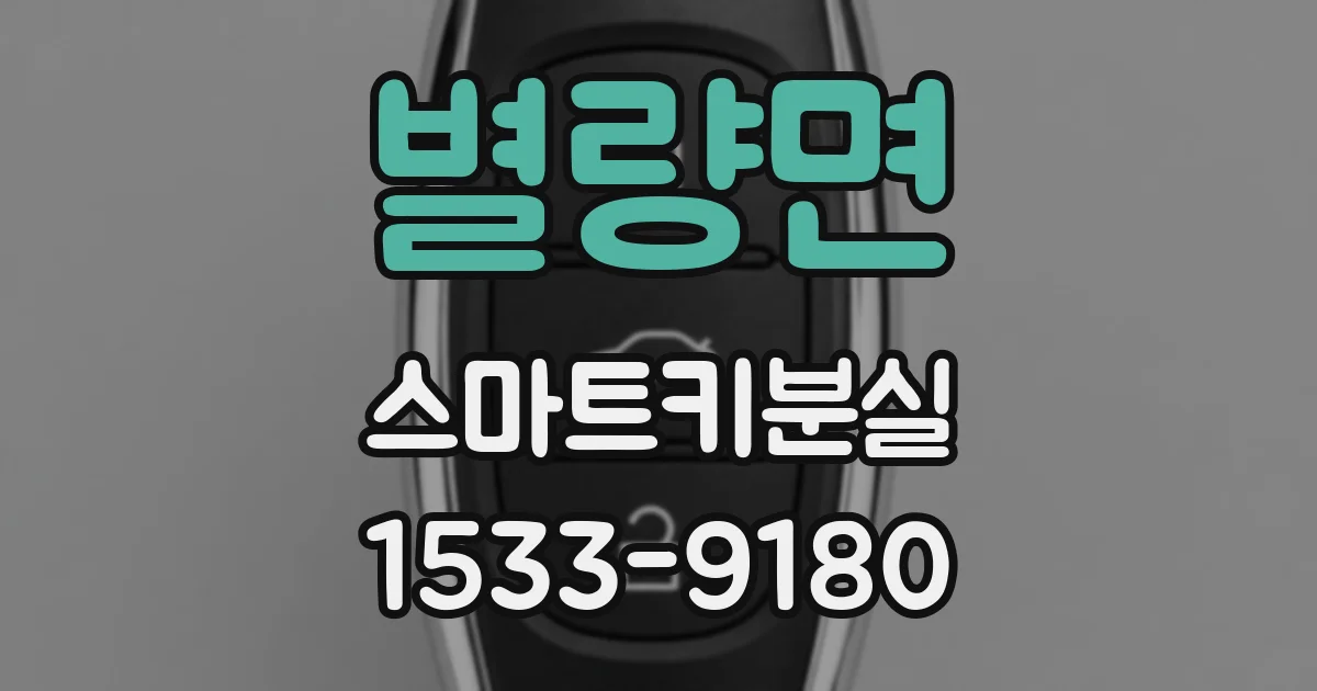별량면 스마트키분실