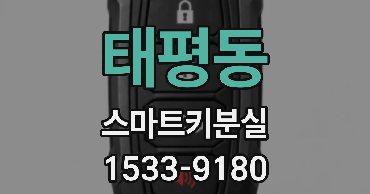 태평동 스마트키분실