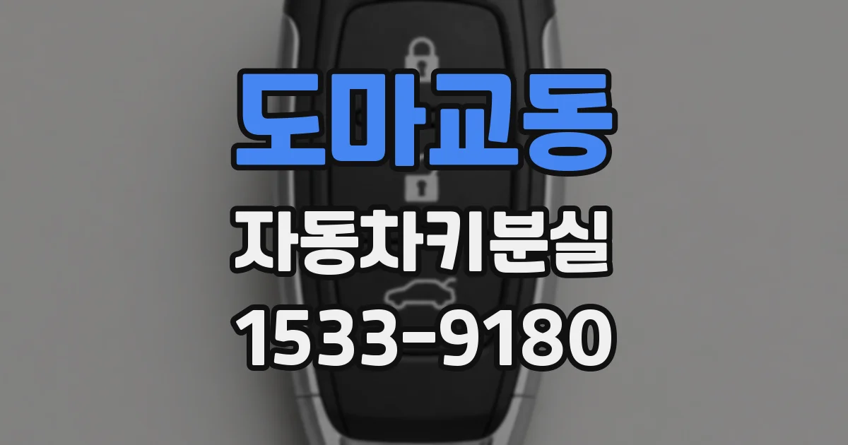 도마교동 자동차키분실