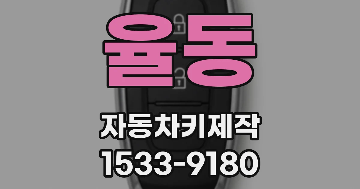 율동 자동차키제작