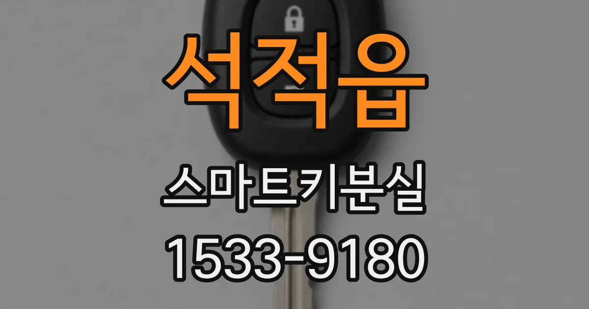 석적읍 스마트키분실