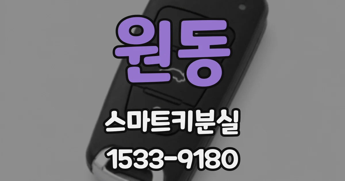 원동 스마트키분실