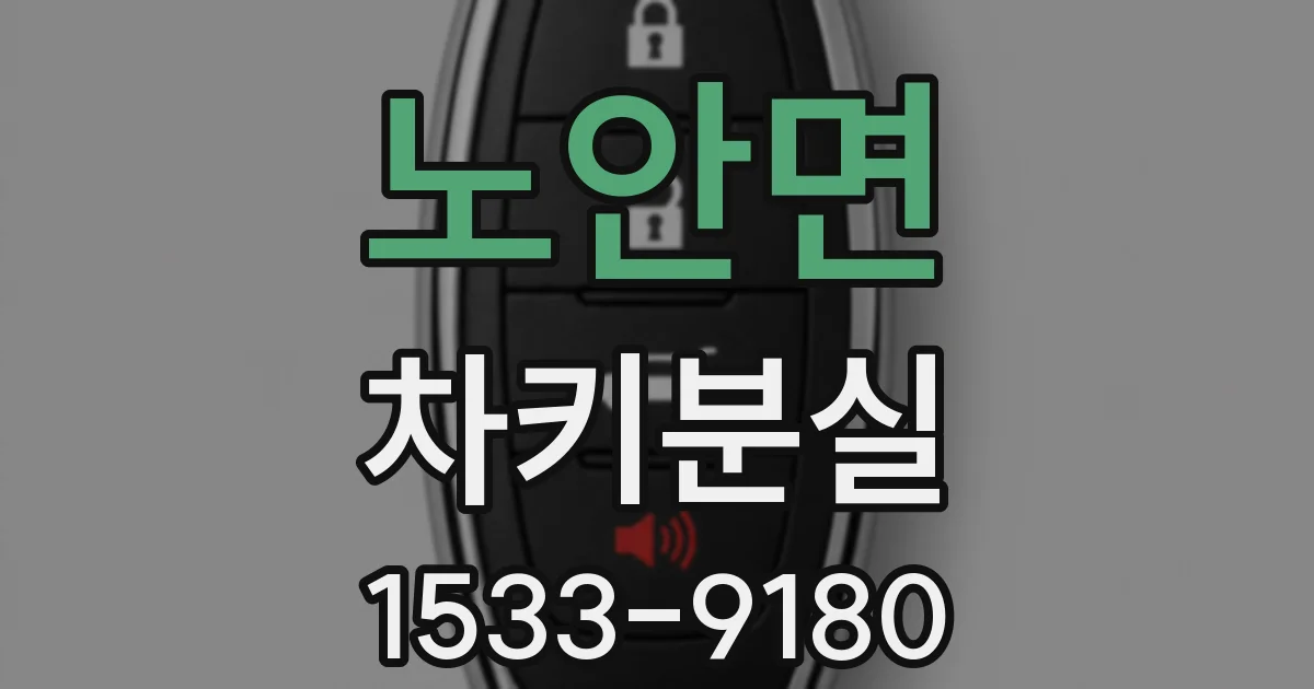 노안면 차키분실