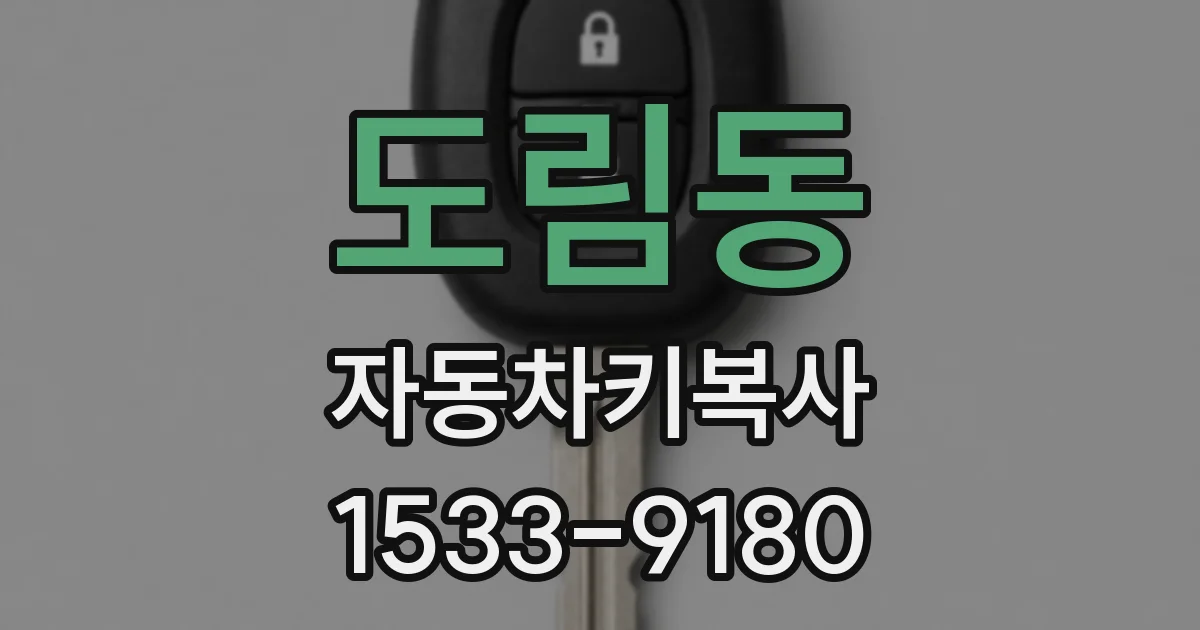 도림동 자동차키복사