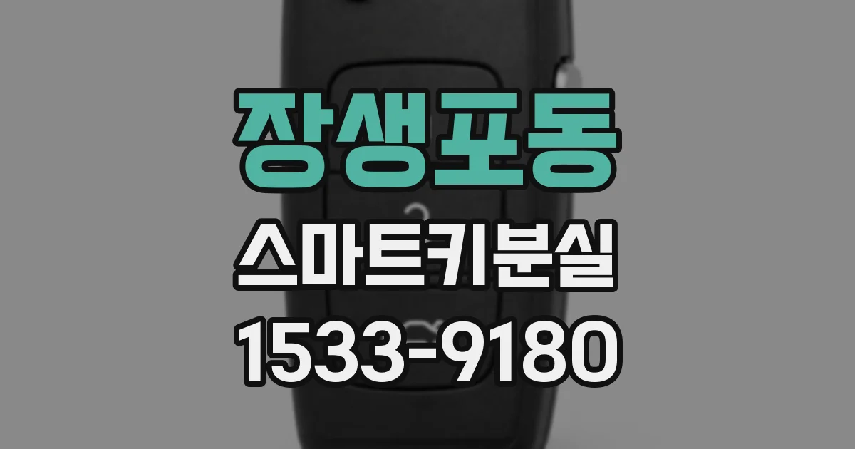 장생포동 스마트키분실