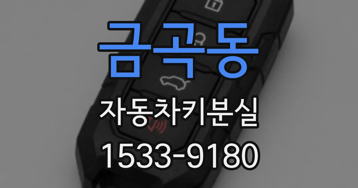 금곡동 자동차키분실