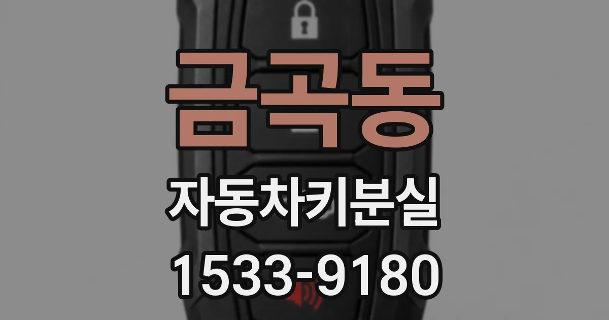 금곡동 자동차키분실