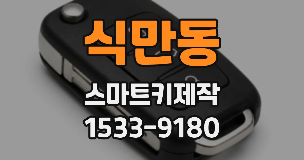 식만동 스마트키제작