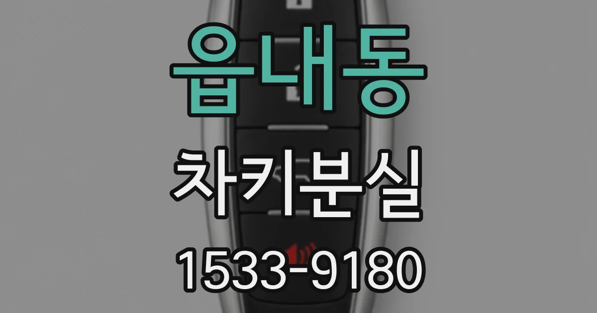 읍내동 차키분실