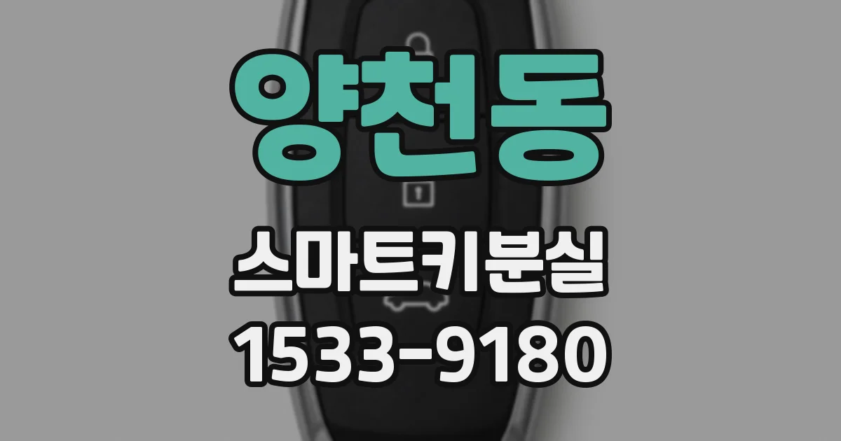 양천동 스마트키분실