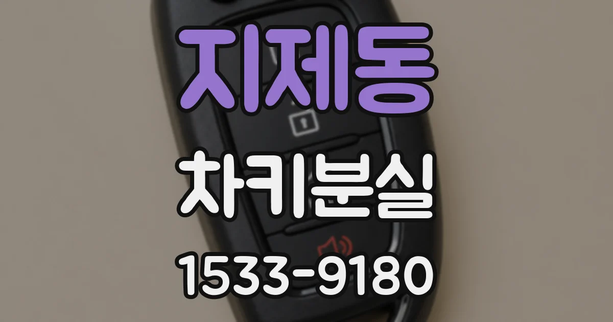 지제동 차키분실