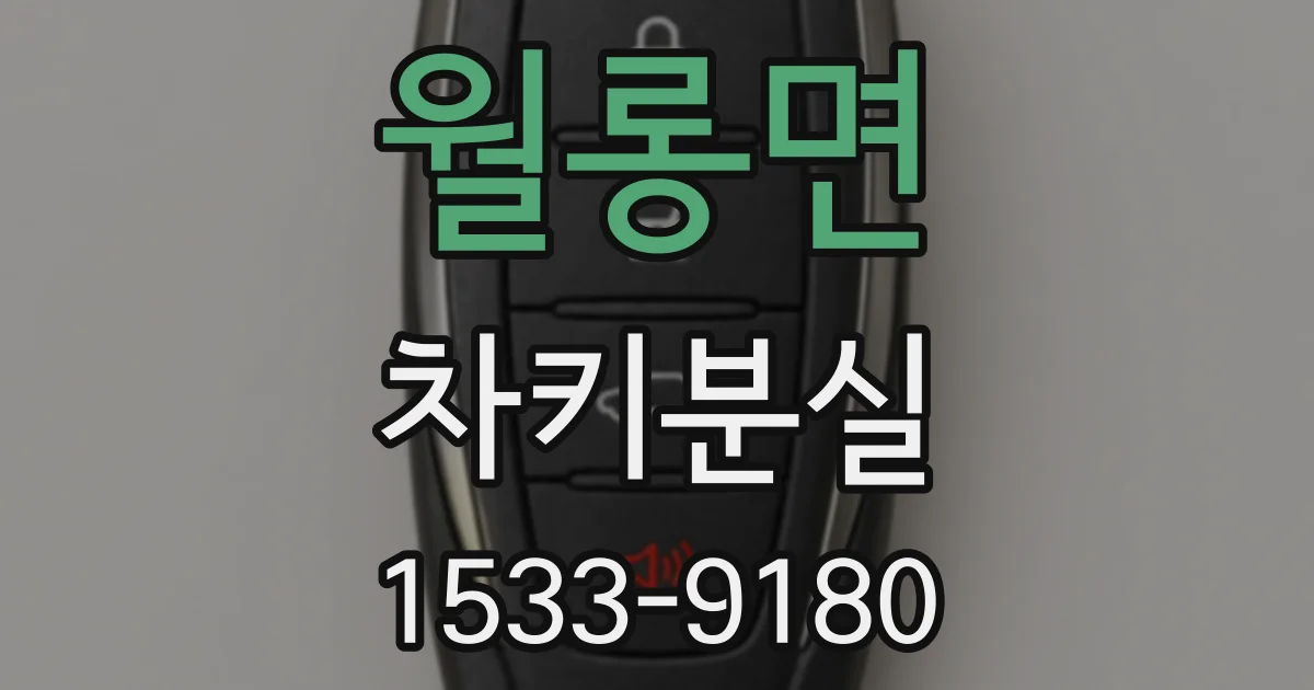 월롱면 차키분실