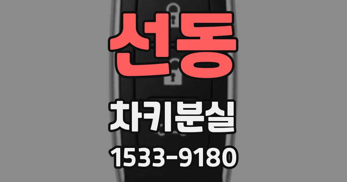 선동 차키분실