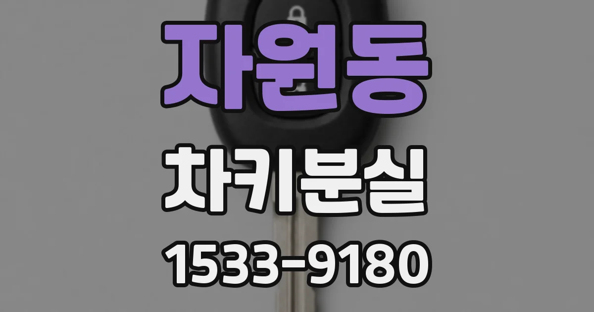 자원동 차키분실