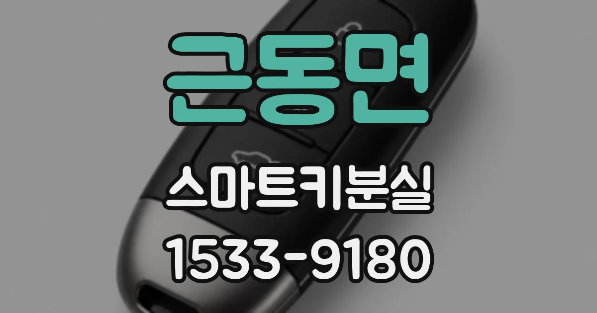 근동면 스마트키분실
