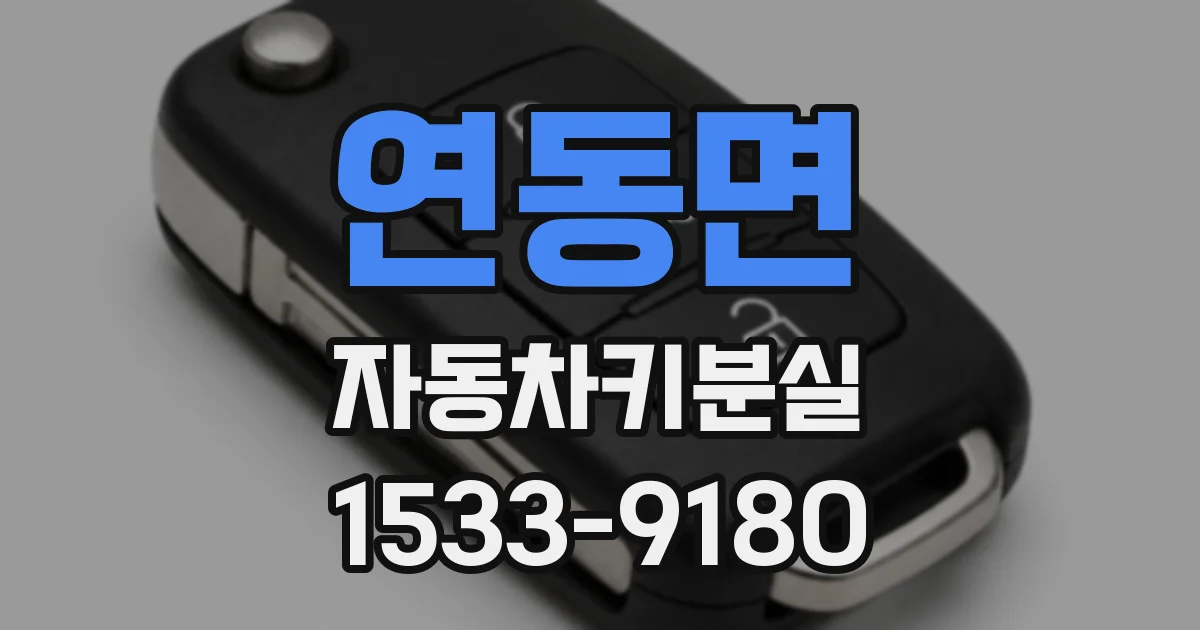 연동면 자동차키분실