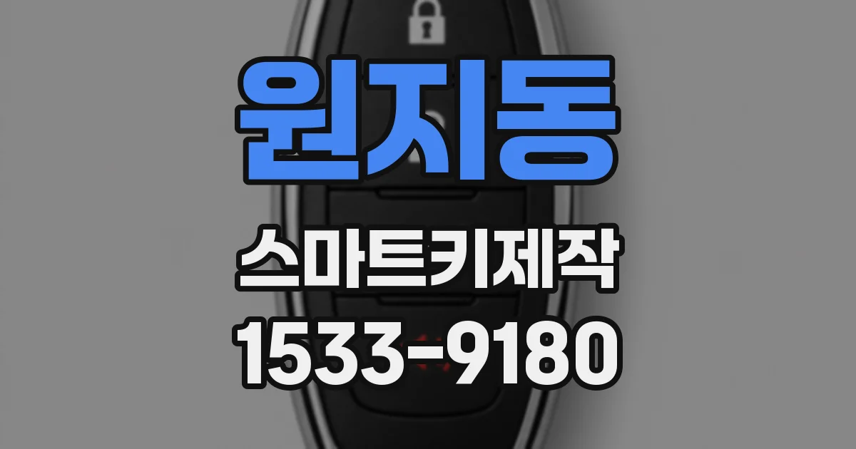 원지동 스마트키제작