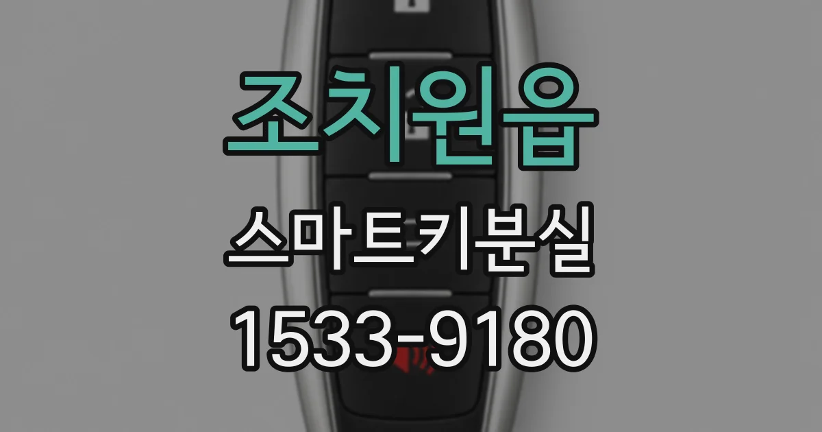 조치원읍 스마트키분실