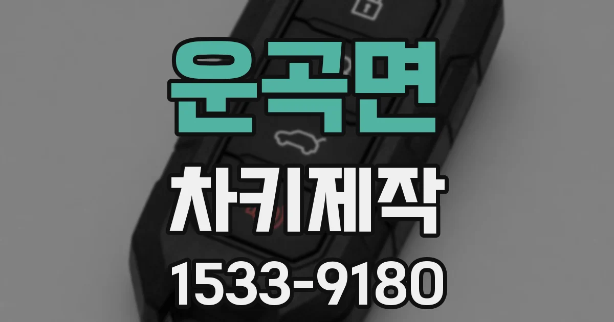 운곡면 차키제작