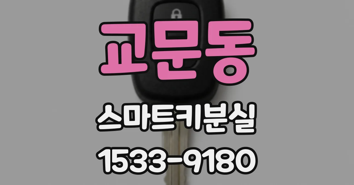 교문동 스마트키분실