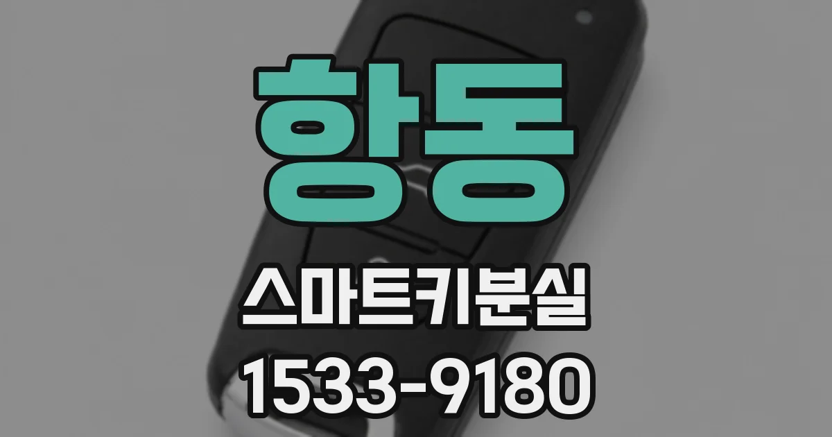 항동 스마트키분실