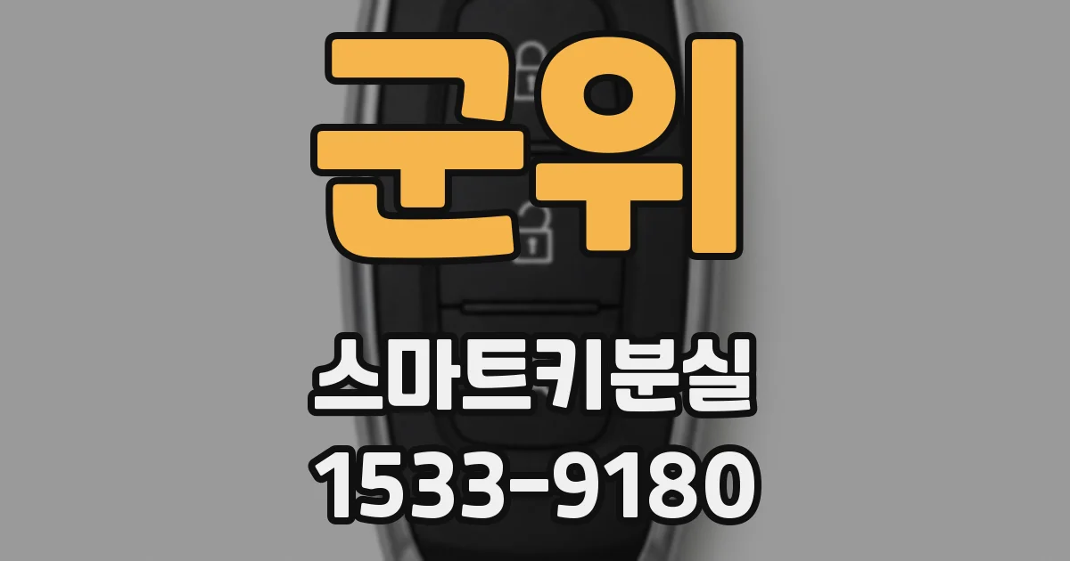 군위 스마트키분실