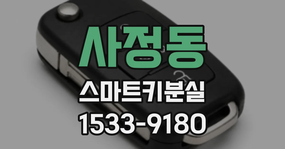 사정동 스마트키분실