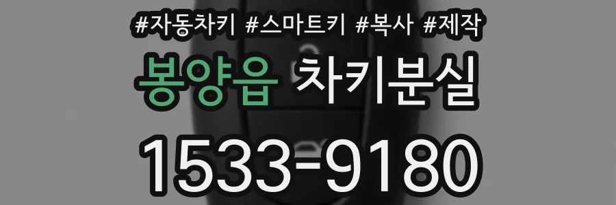 봉양읍 차키분실