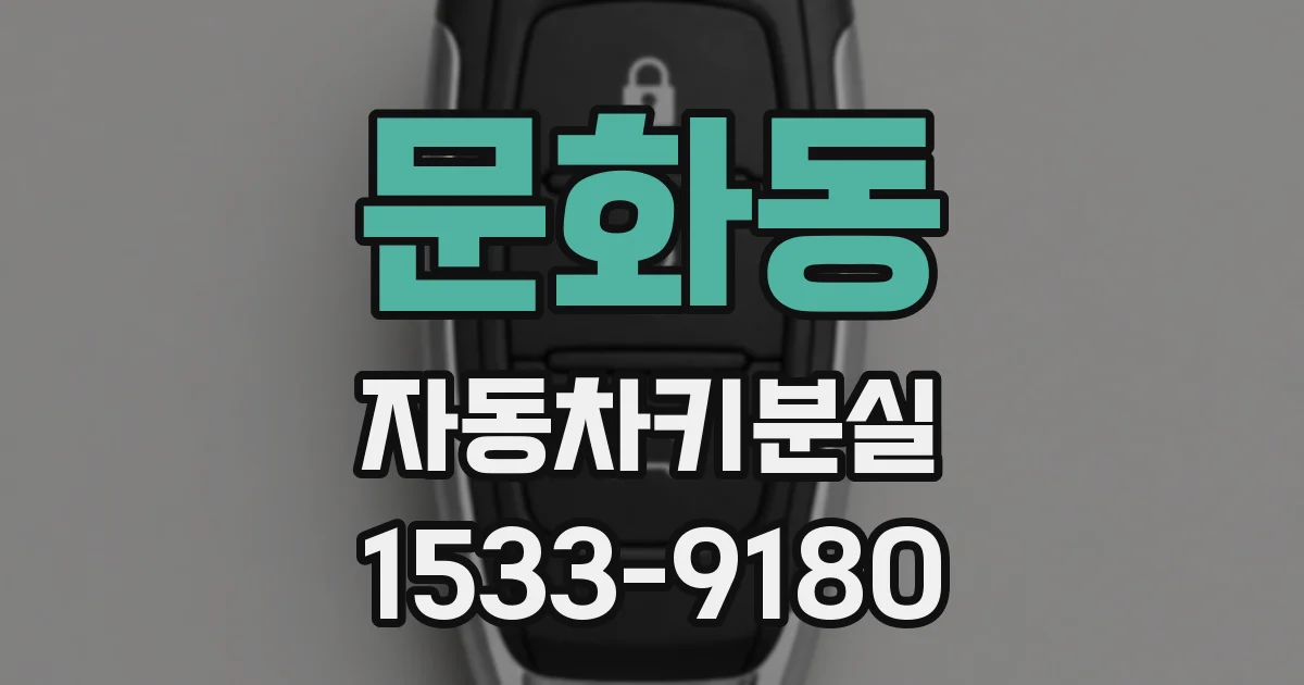 문화동 자동차키분실