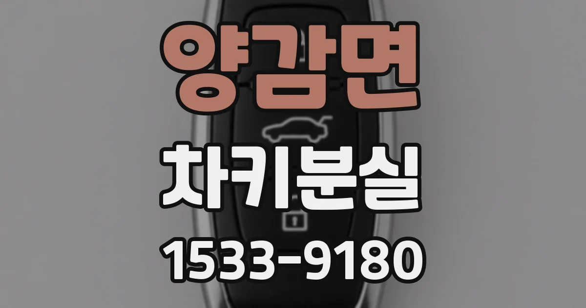 양감면 차키분실