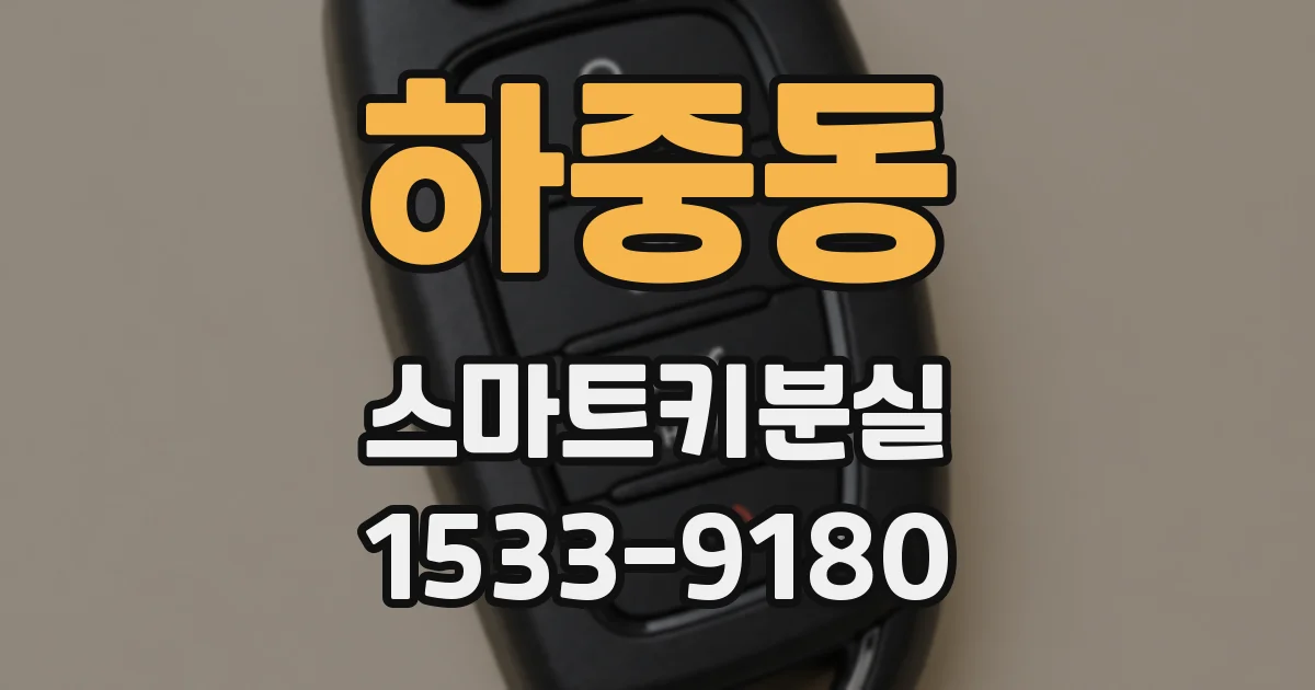 하중동 스마트키분실