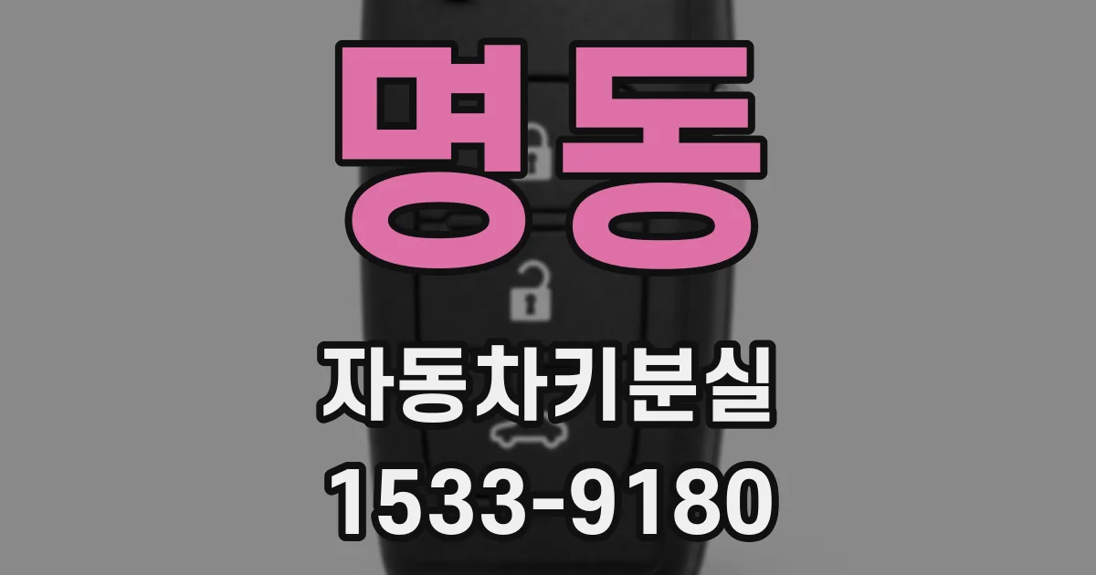 명동 자동차키분실