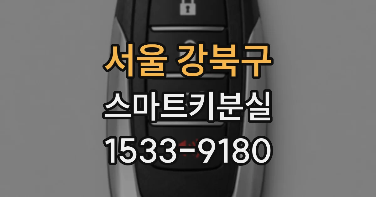 서울 강북구 스마트키분실