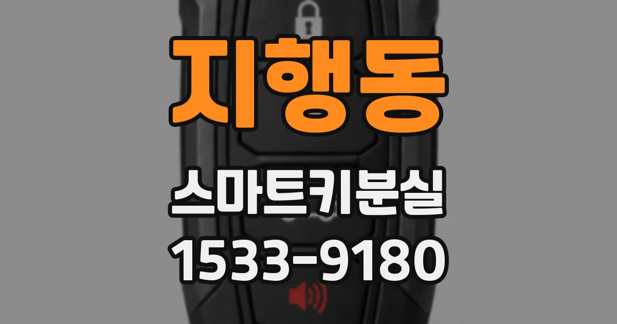 지행동 스마트키분실