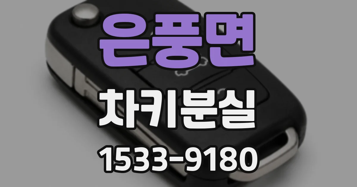 은풍면 차키분실