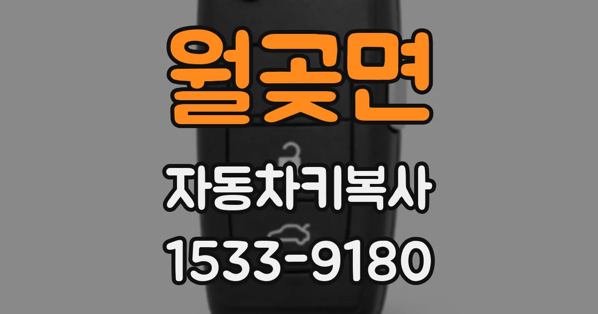 월곶면 자동차키복사