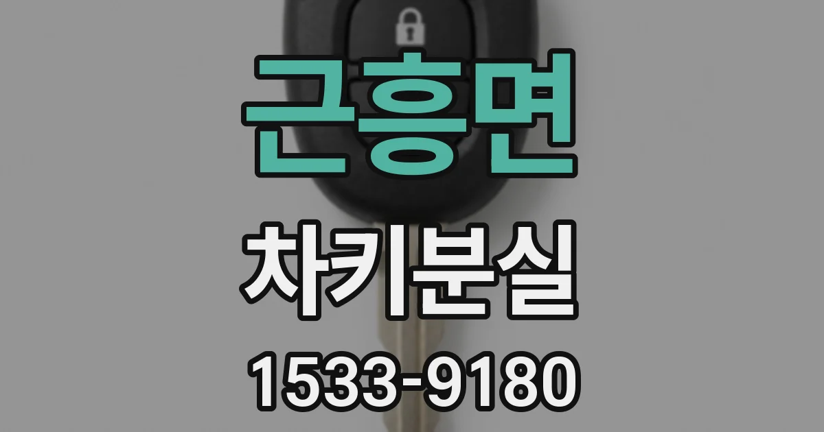 근흥면 차키분실