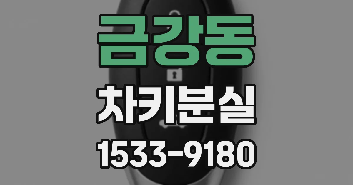 금강동 차키분실