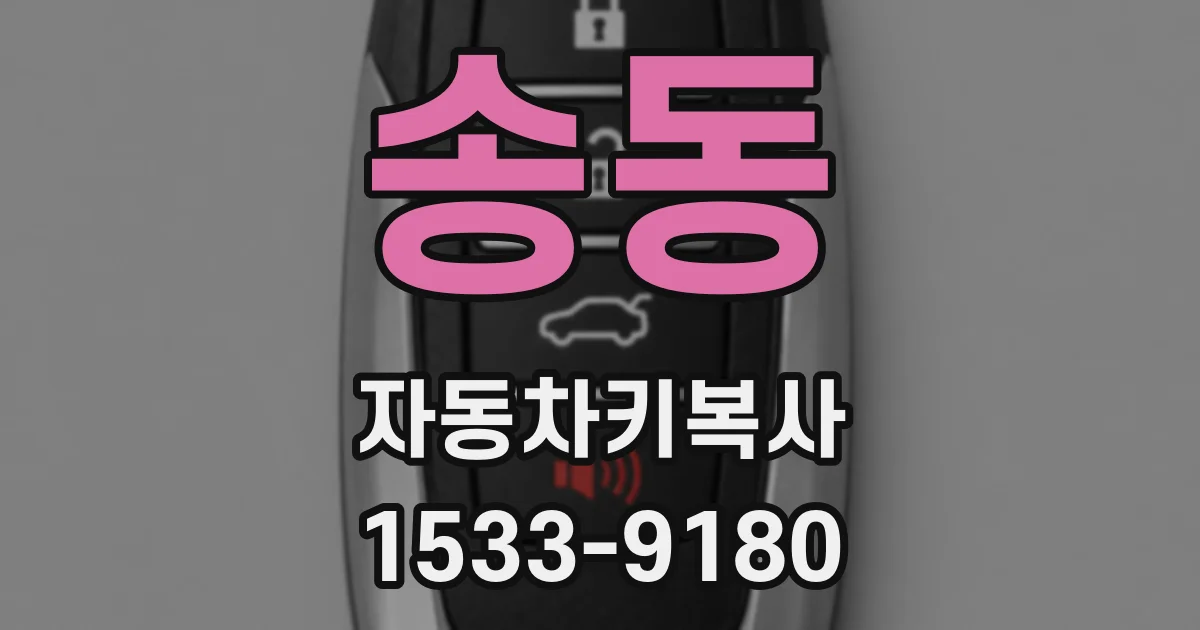 송동 자동차키복사