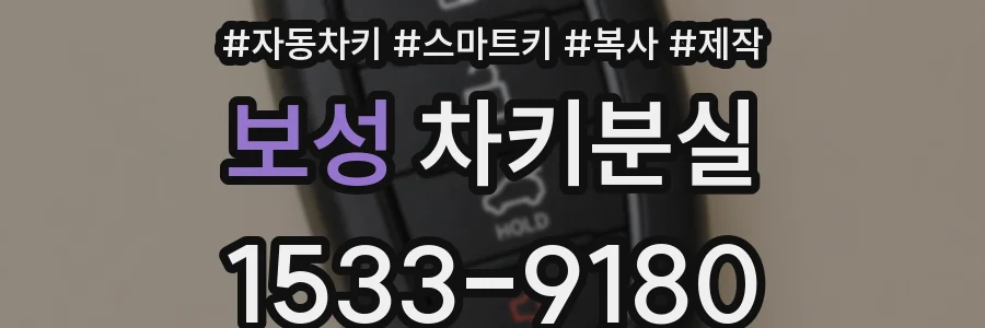 보성 차키분실