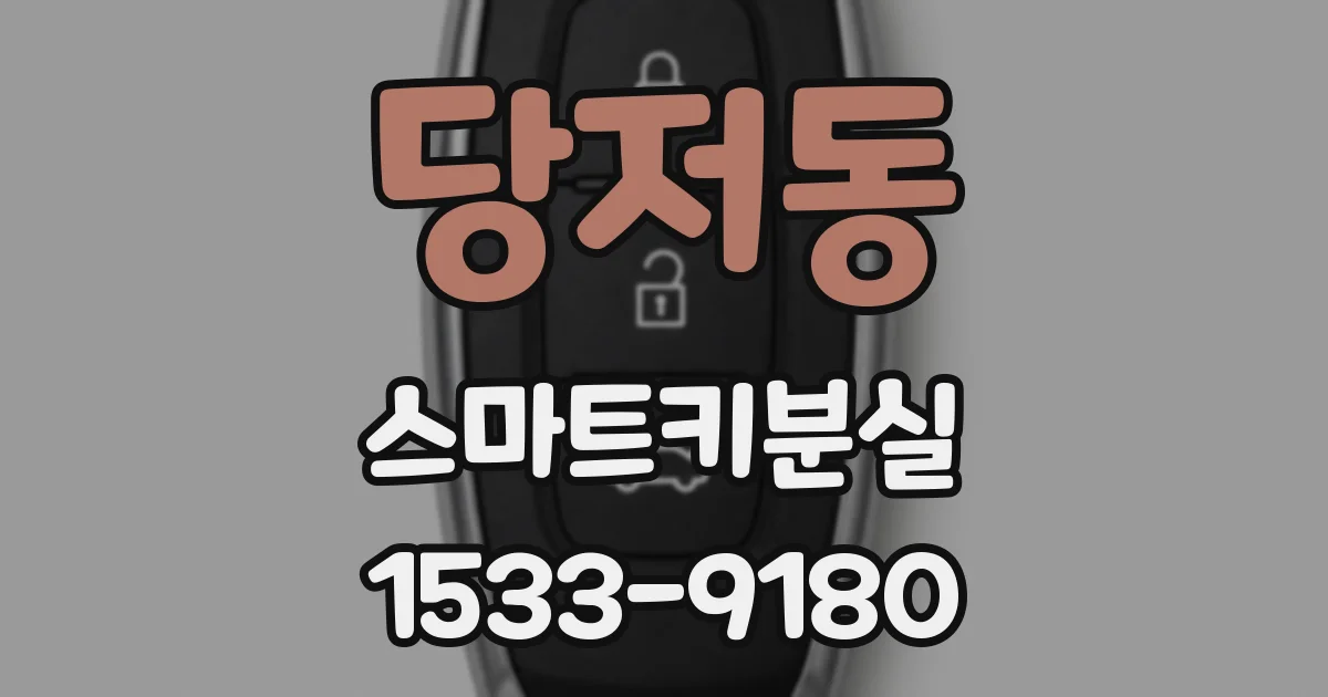 당저동 스마트키분실