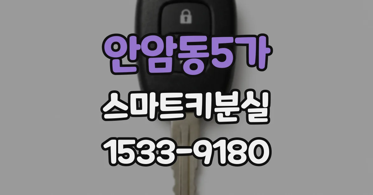 안암동5가 스마트키분실