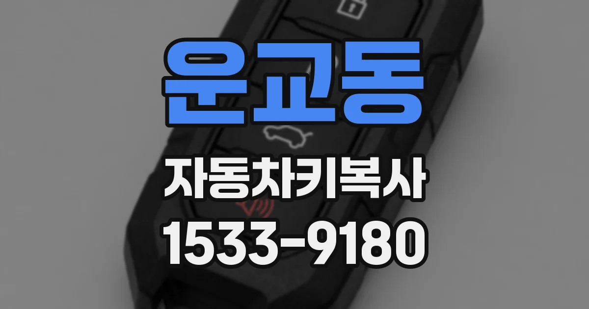 운교동 자동차키복사